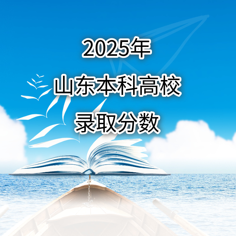 2025年山东本科高校录取分数