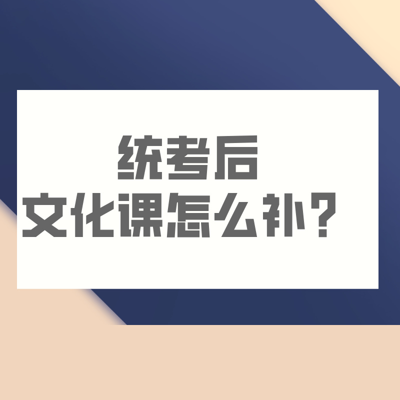 统考后文化课怎么补？这份从基础到冲刺的全流程方案请收好